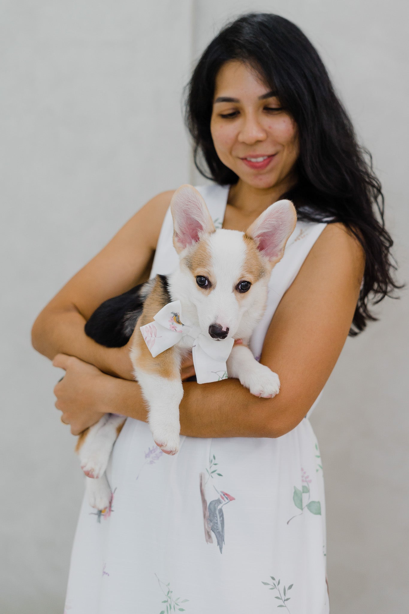 Birds Of Paradise Pet Bow in Dove