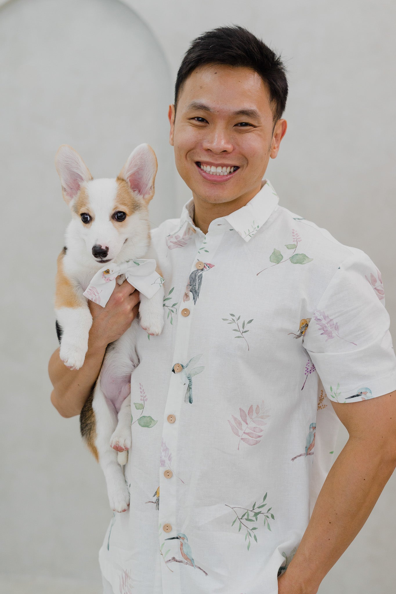 Birds Of Paradise Pet Bow in Dove