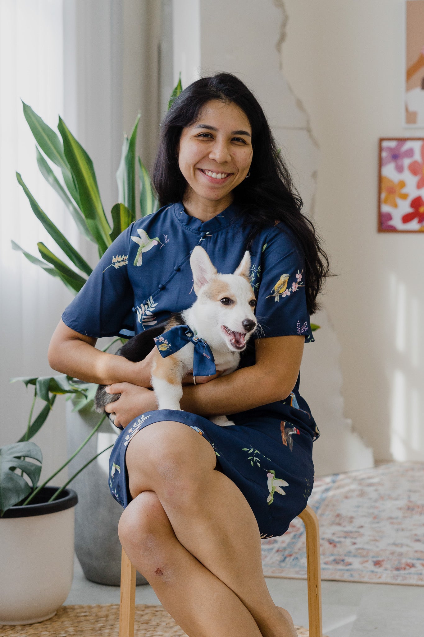 Birds Of Paradise Pet Bow in Heron