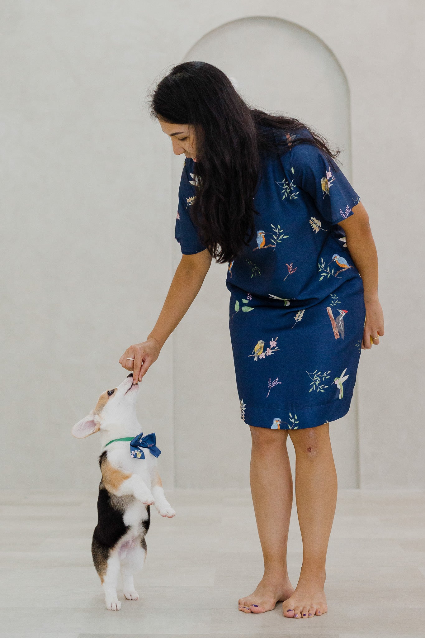 Birds Of Paradise Pet Bow in Heron