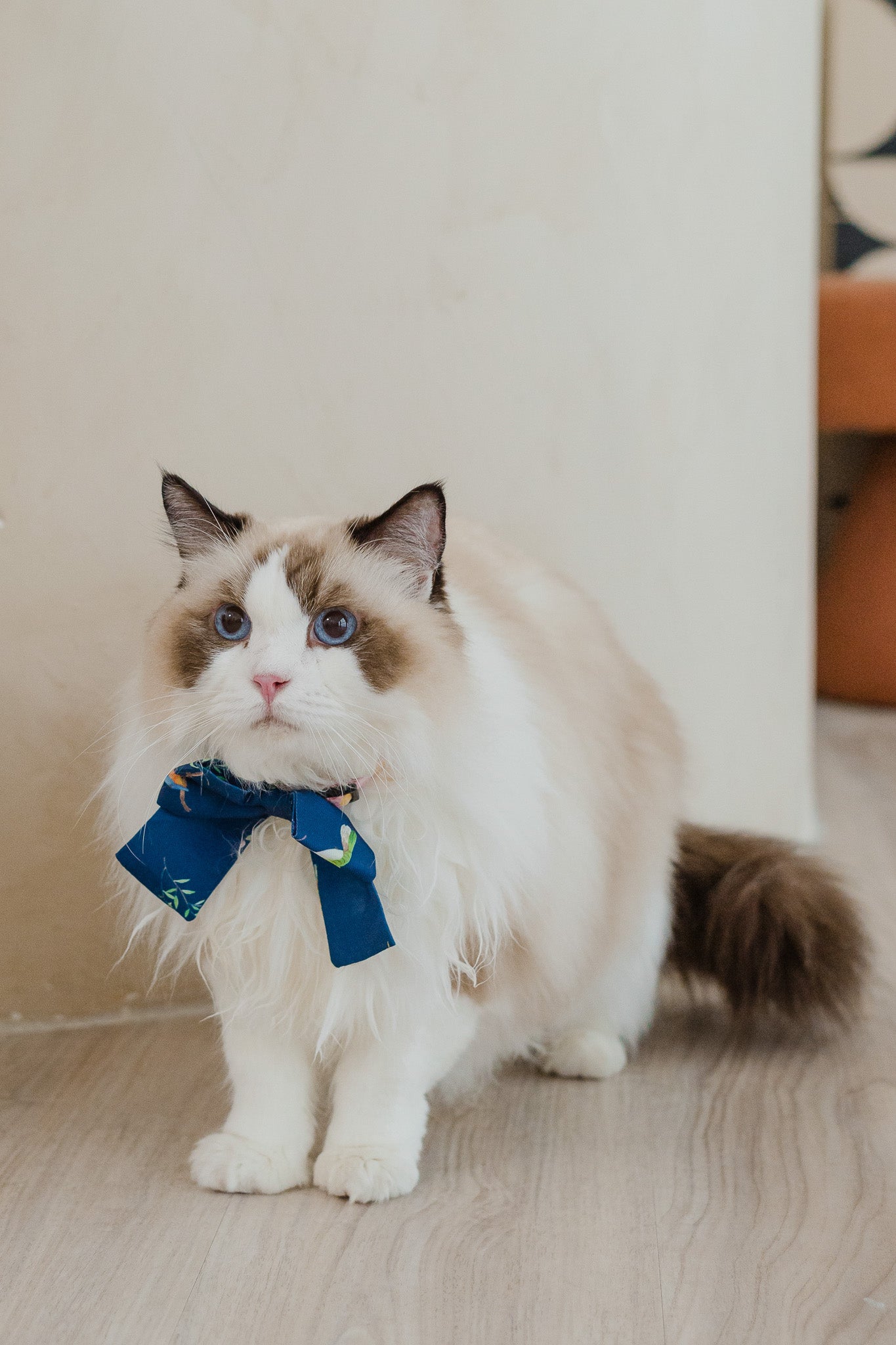 Birds Of Paradise Pet Bow in Heron