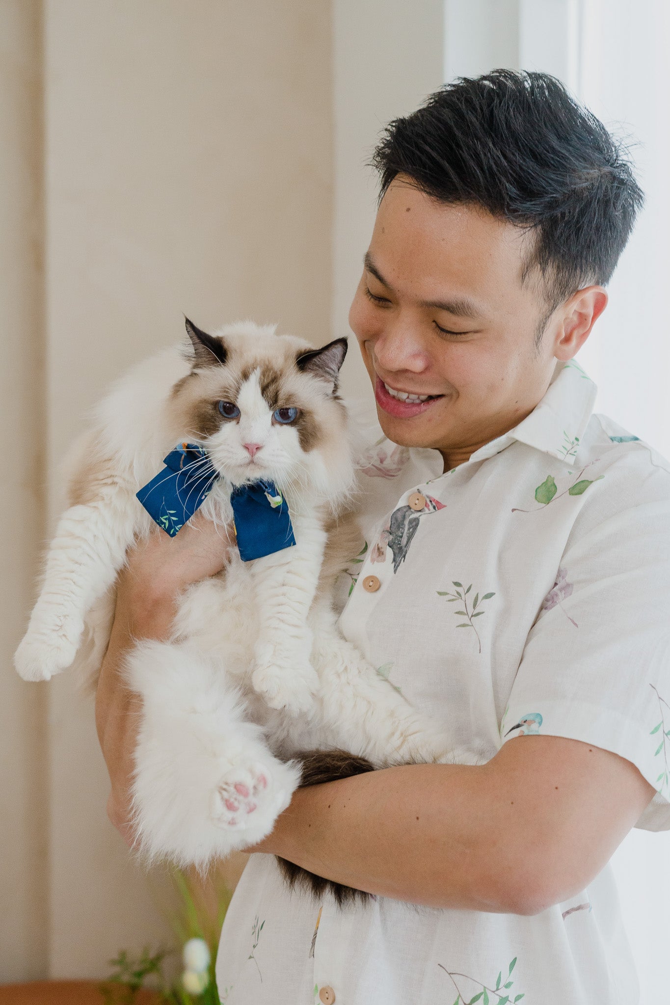 Birds Of Paradise Pet Bow in Heron