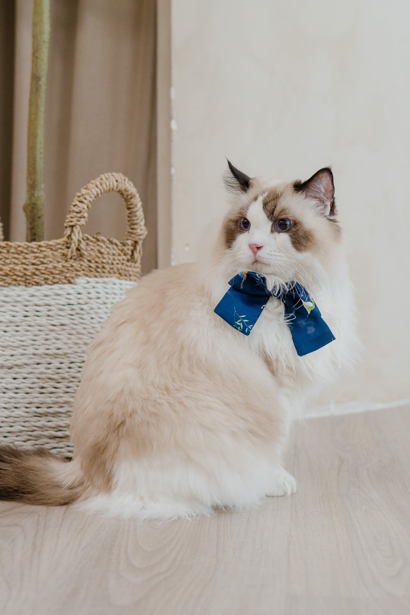 Birds Of Paradise Pet Bow in Heron