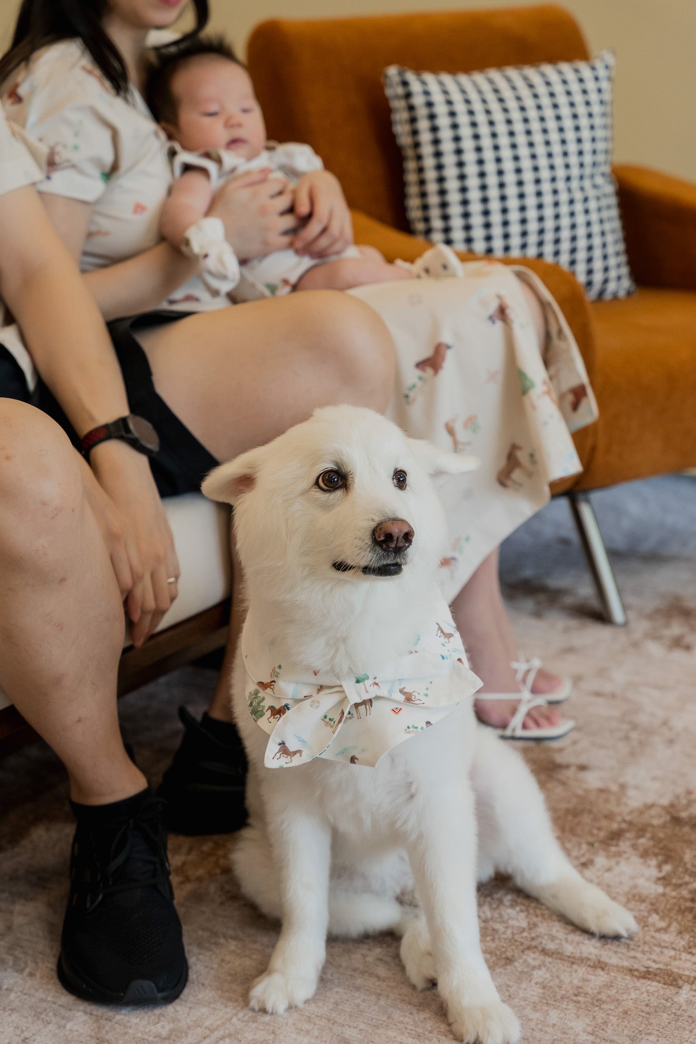 Fields of Gold Pet Bandana in Bloom