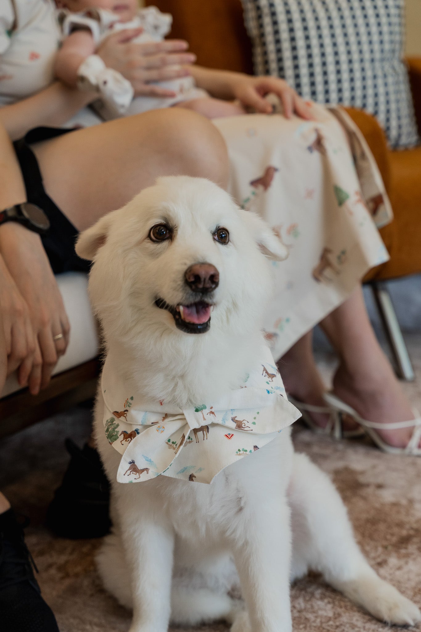 Fields of Gold Pet Bandana in Bloom