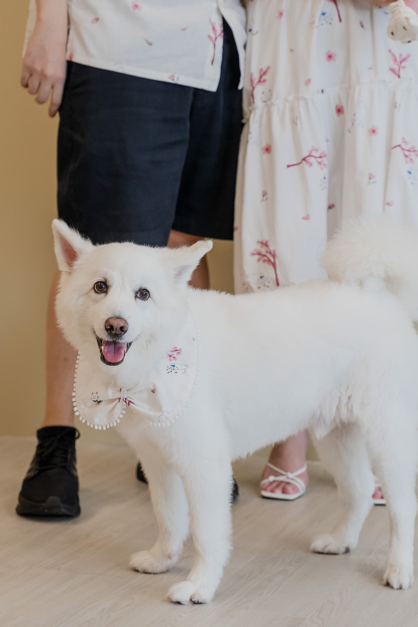 Fortune In Bloom Pet Bandana in Shiro