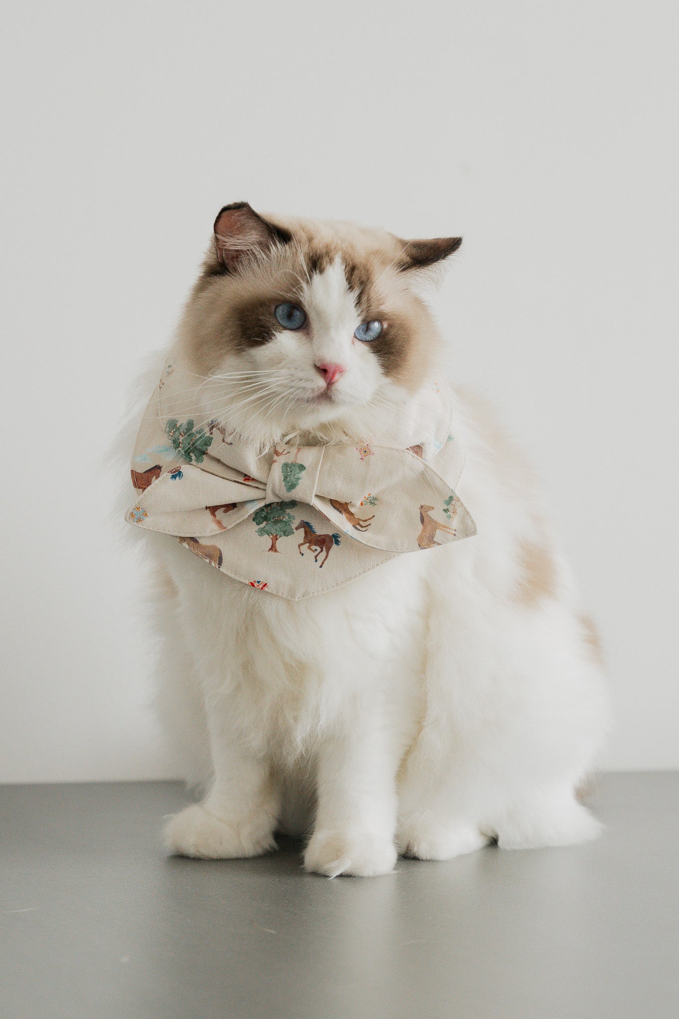 Fields of Gold Pet Bandana in Harvest