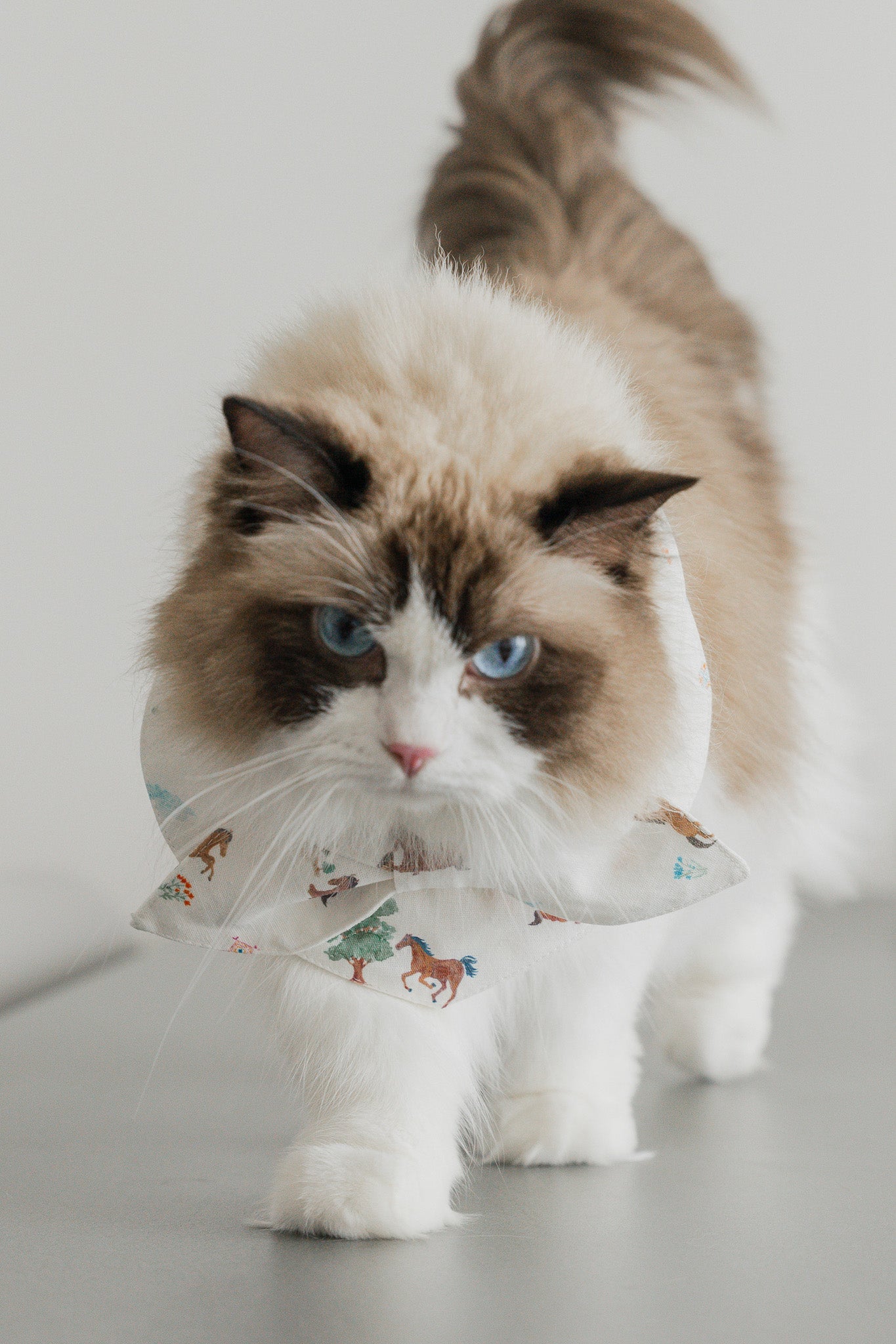 Fields of Gold Pet Bandana in Bloom