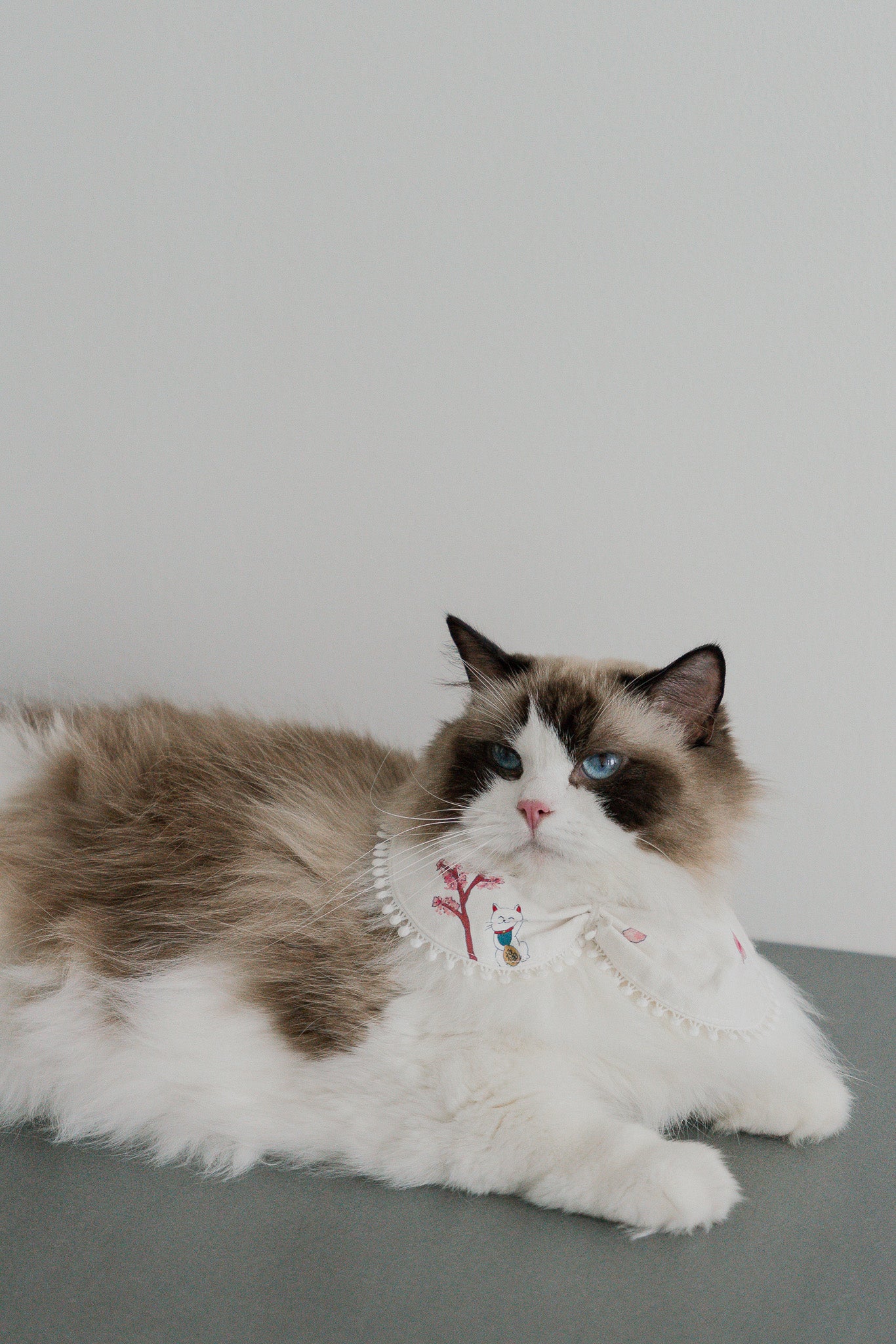 Fortune In Bloom Pet Bandana in Shiro