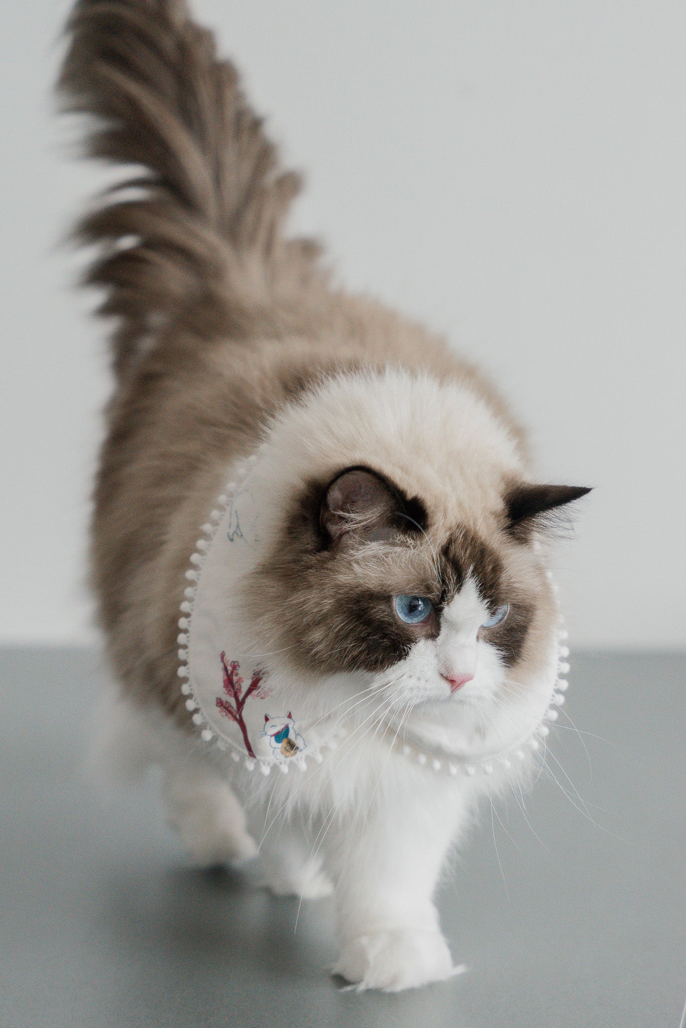 Fortune In Bloom Pet Bandana in Shiro