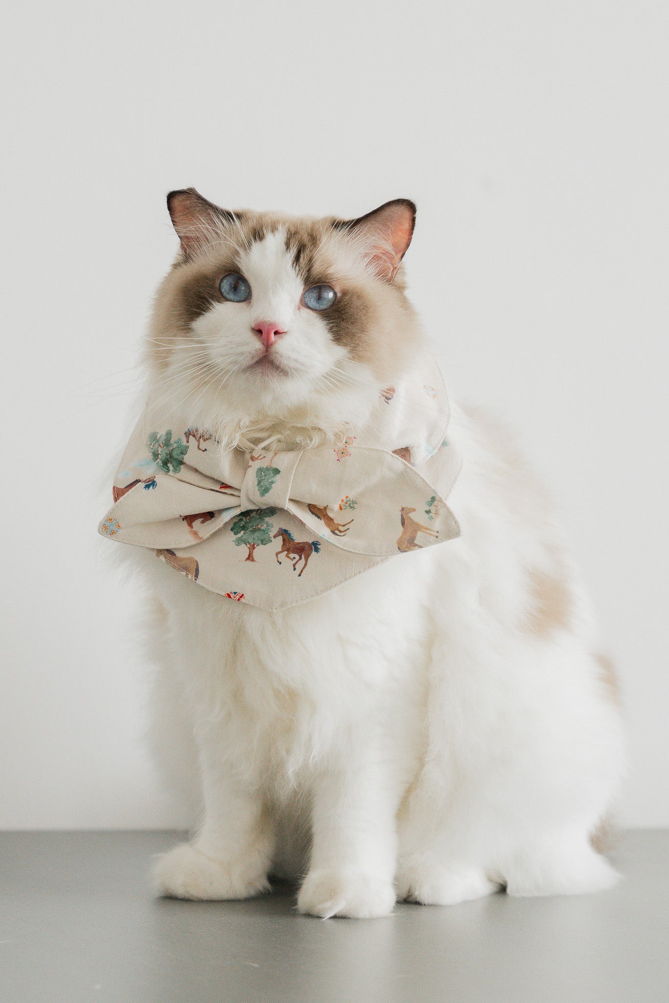 Fields of Gold Pet Bandana in Harvest
