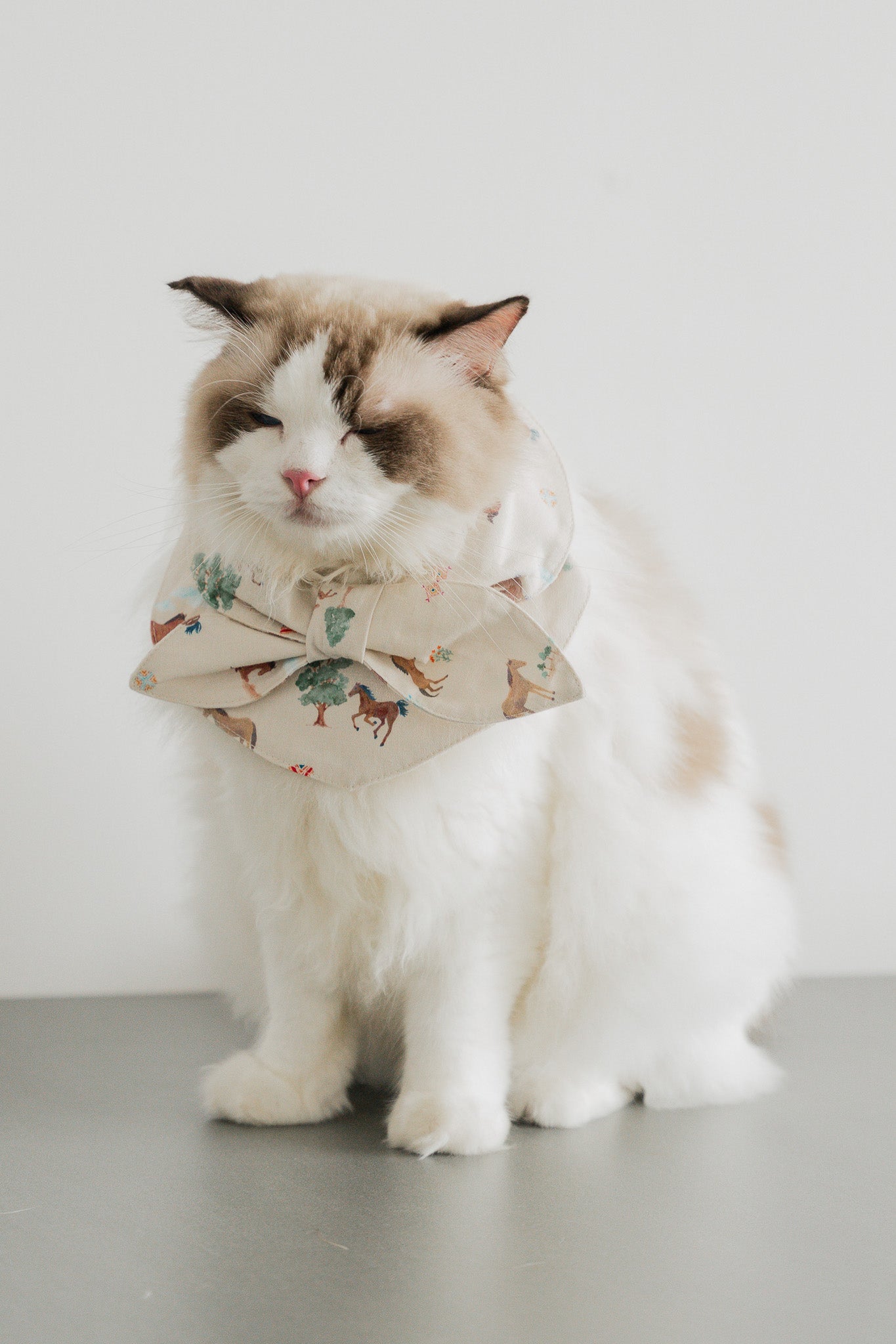 Fields of Gold Pet Bandana in Harvest