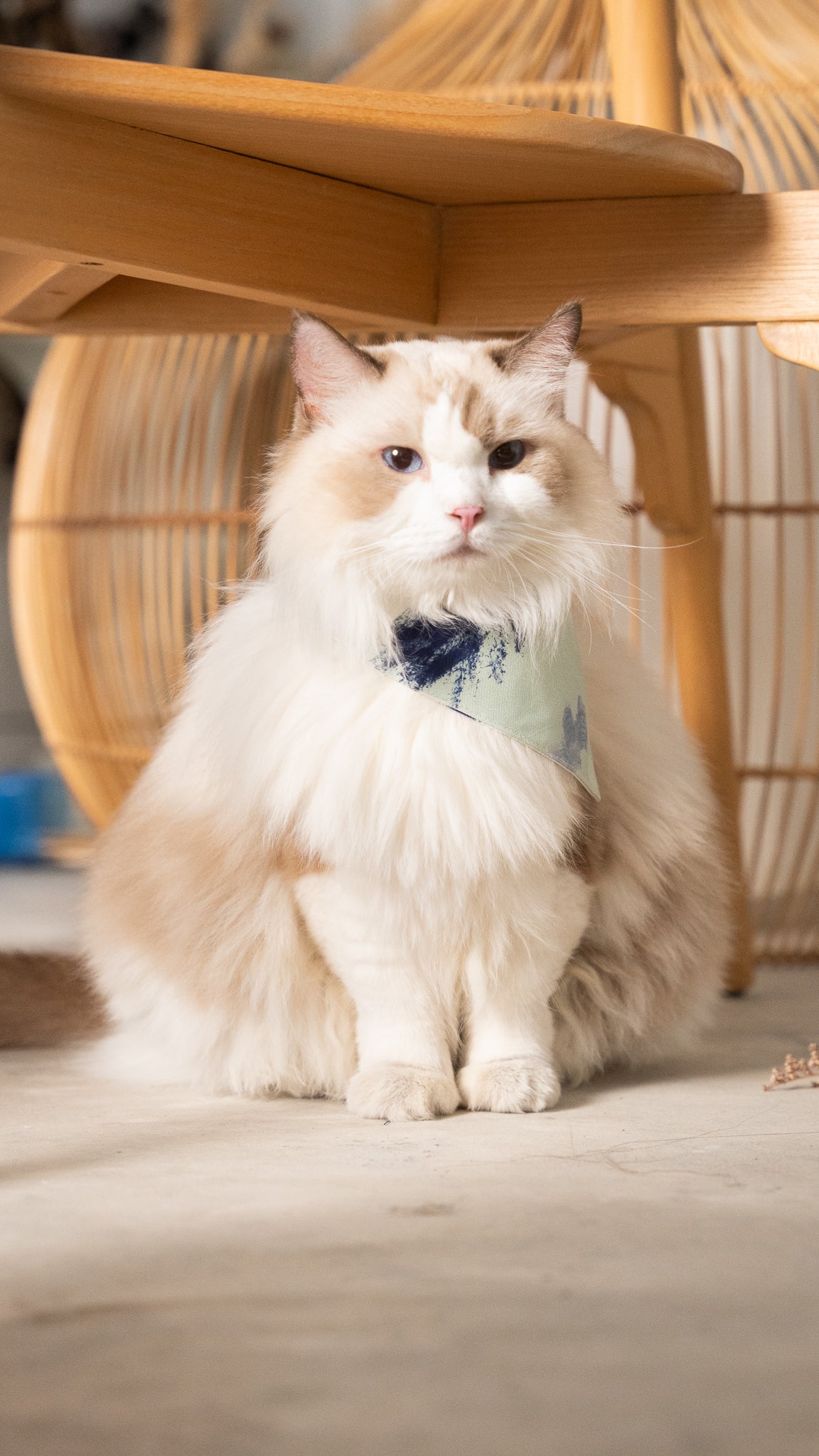 If I Were A Painter Pet Bandana in Sage/White