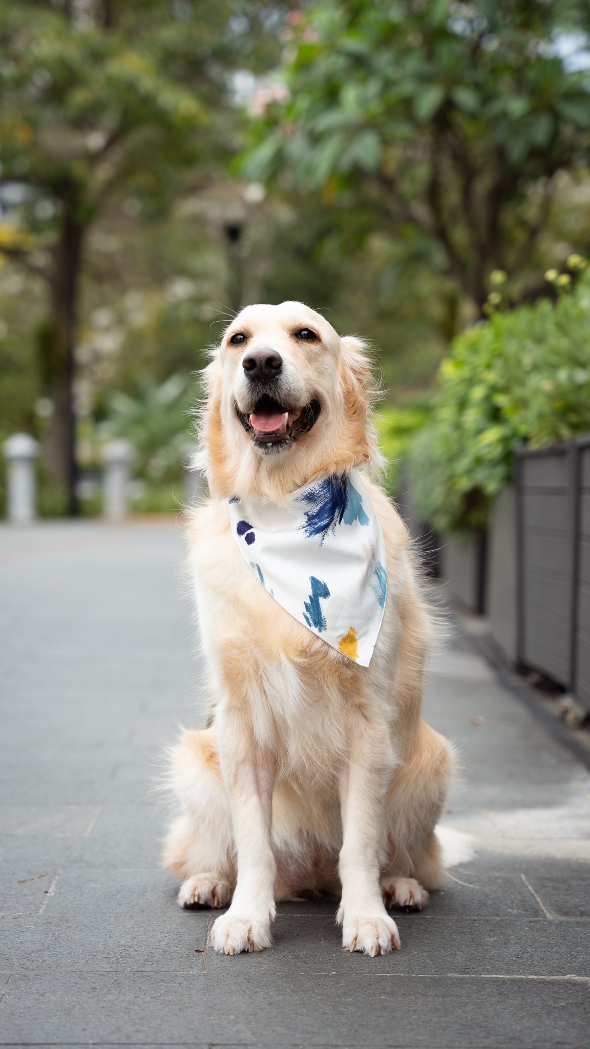 If I Were A Painter Pet Bandana in Sage/White