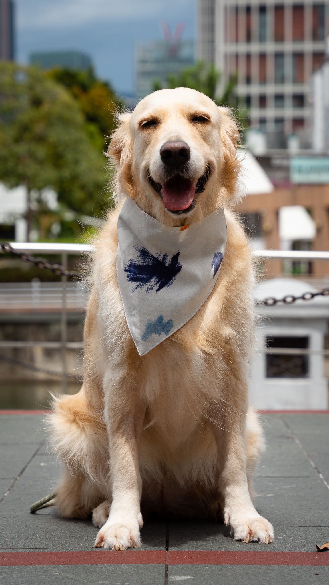 If I Were A Painter Pet Bandana in Stone/White