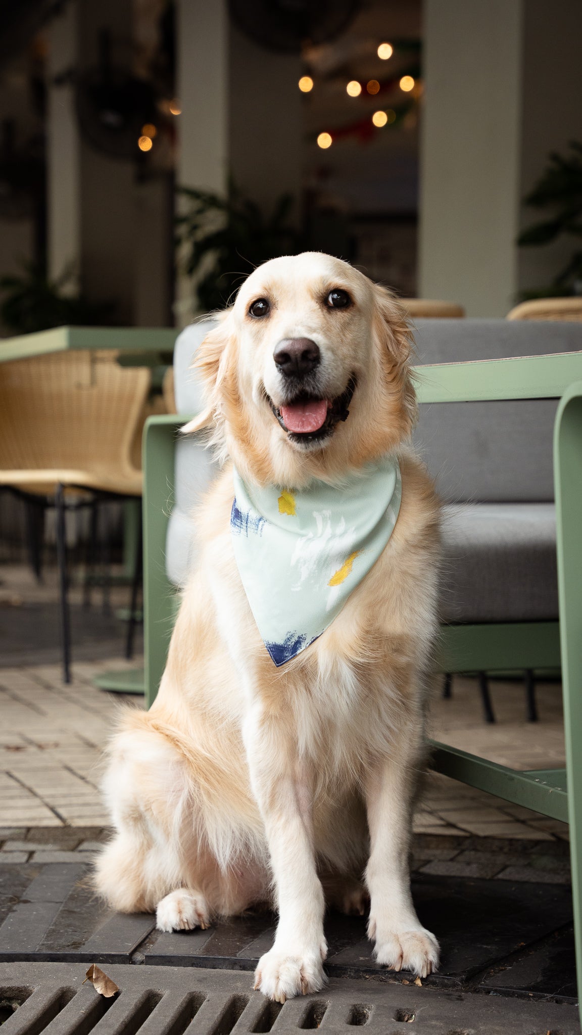 If I Were A Painter Pet Bandana in Sage/White