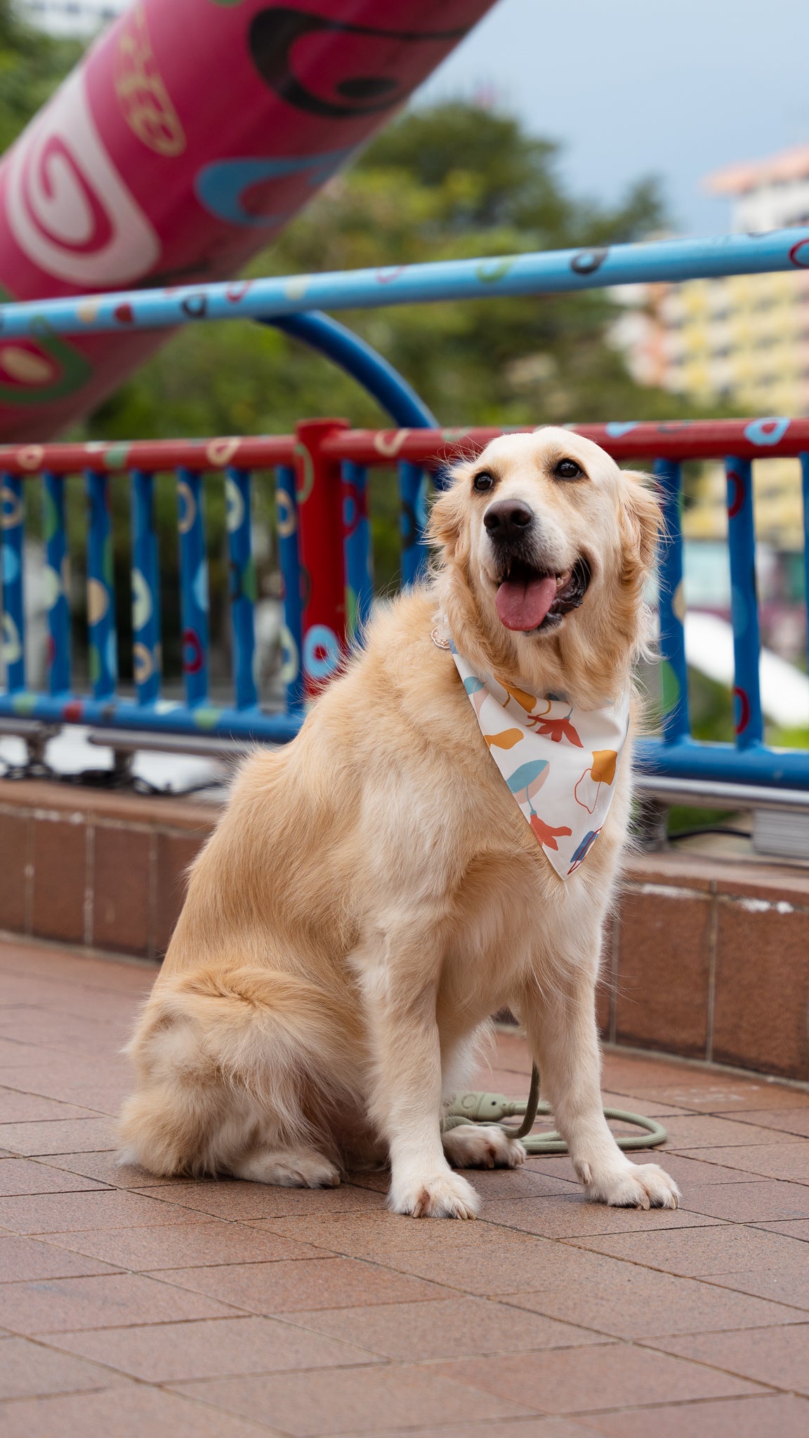 Sophie's Summer Pet Bandana in Navy/White