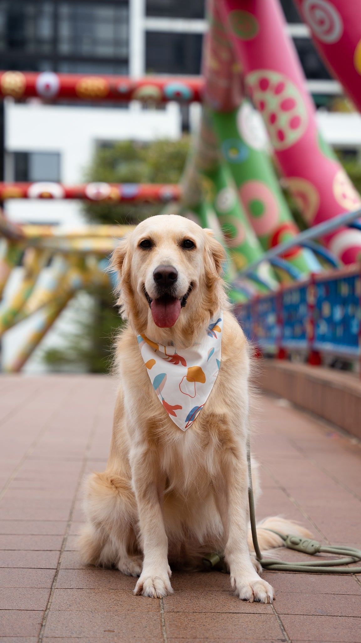Sophie's Summer Pet Bandana in Pastel/White