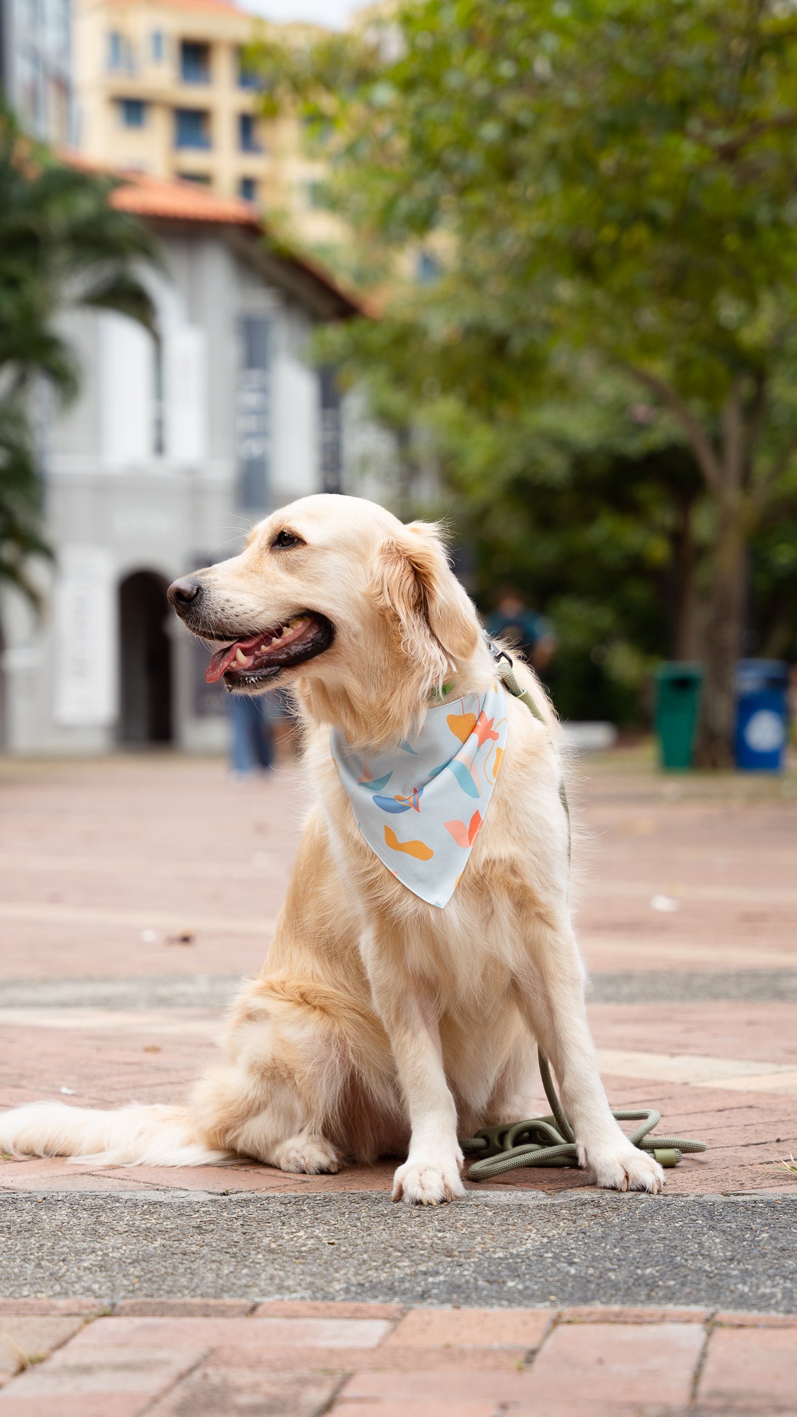 Sophie's Summer Pet Bandana in Pastel/White