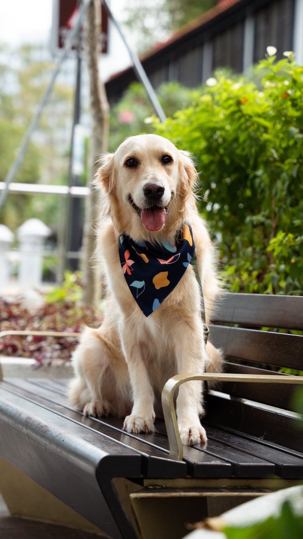 Sophie's Summer Pet Bandana in Navy/White