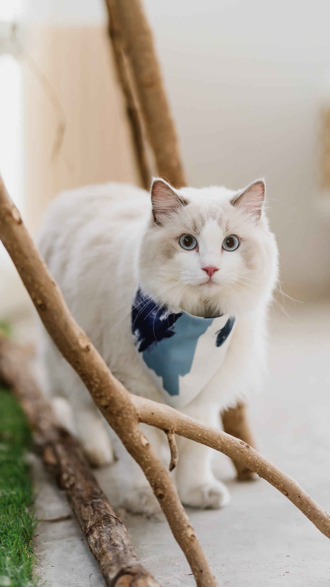 If I Were A Painter Pet Bandana in Sage/White