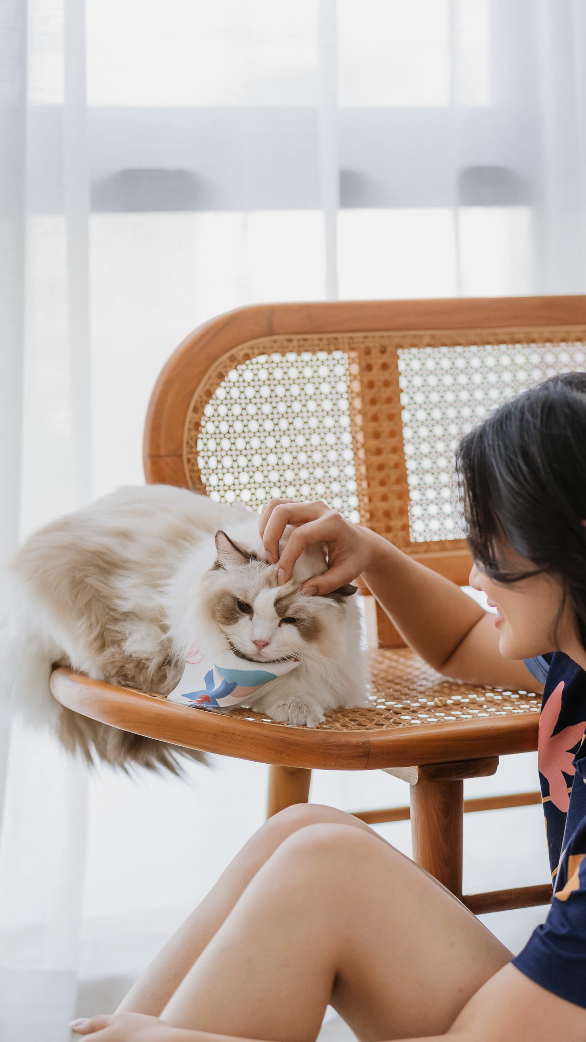 Sophie's Summer Pet Bandana in Pastel/White